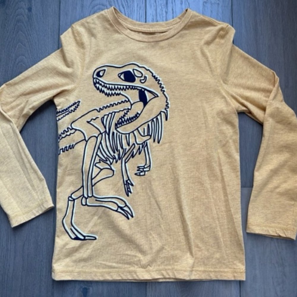 DIP BOYS DINOSAUR LONG SLEEVED DECAL SHIRT